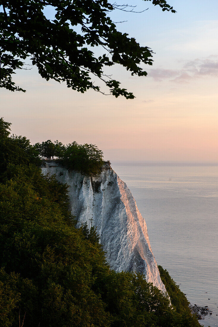 Chalk cliffs, Rügen, Baltic Sea coast, Mecklenburg-Vorpommern, Germany