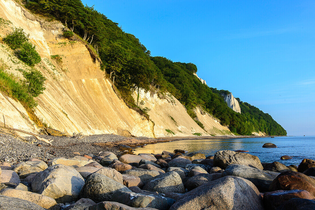 Kreidefelsen,Jasmund NP,  Rügen, Ostseeküste, Mecklenburg-Vorpommern,  Deutschland