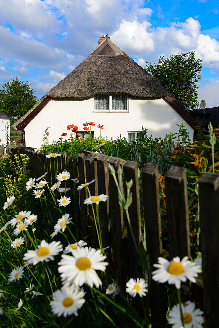 House with flower garden in Hagen, Rügen, Ostseeküste, Mecklenburg-Western Pomerania, Germany