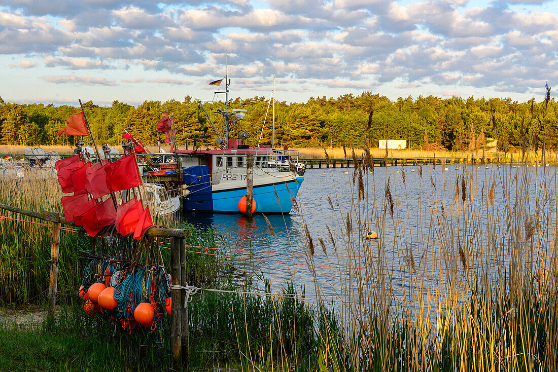 Darsser Ort, Nothafen, Ostseeküste, Mecklenburg-Western Pomerania, Germany