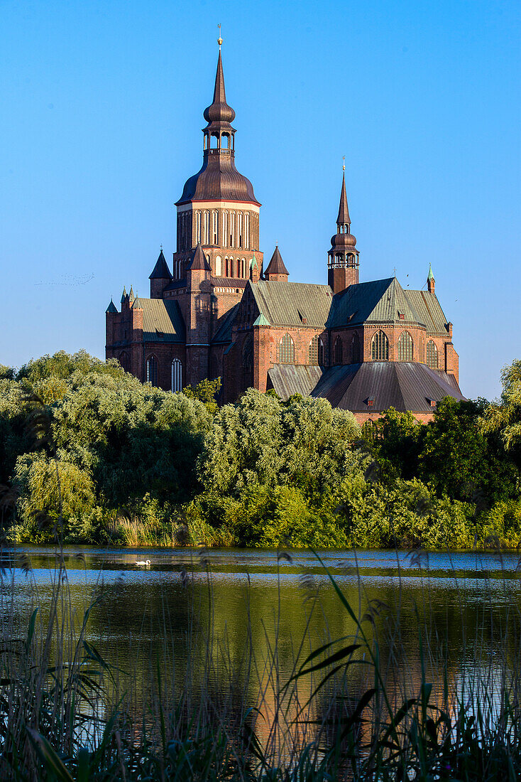 St. Mary's Church with pond, Stralsund, Baltic Sea coast, Mecklenburg-Vorpommern, Germany