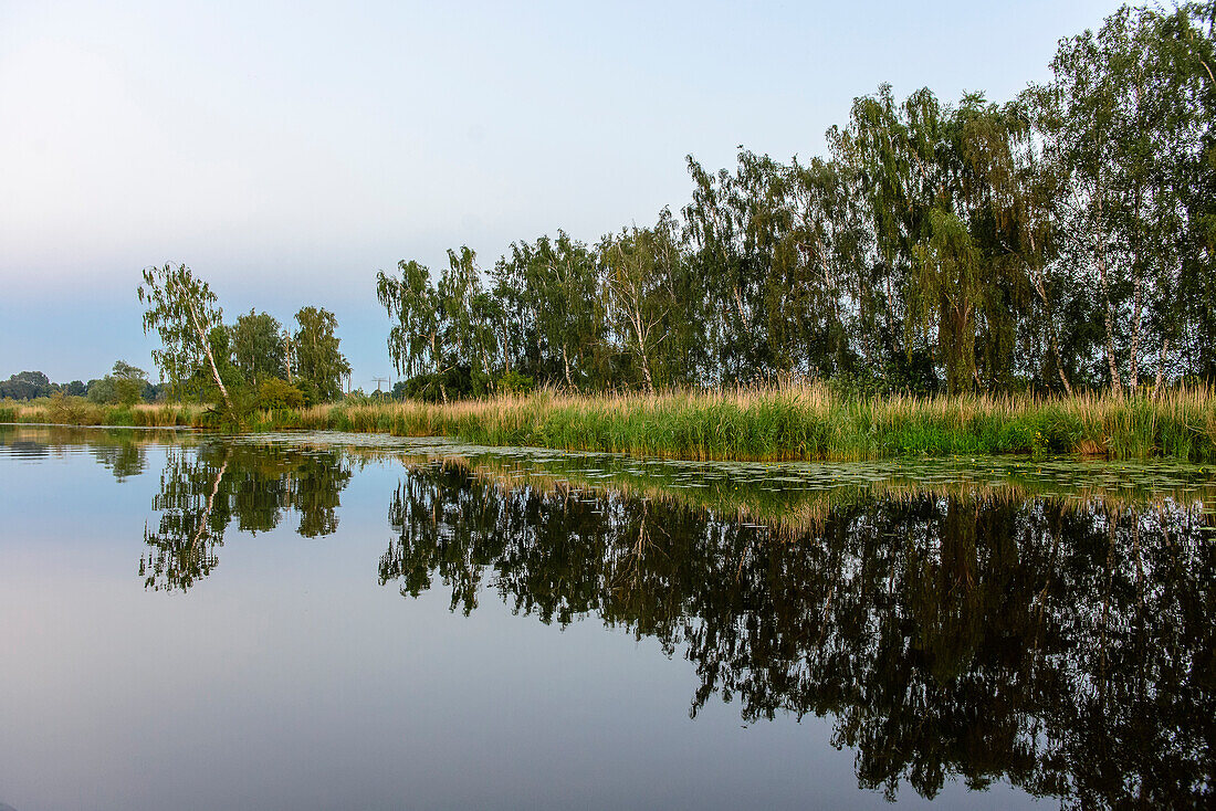 Riparian landscape on the river Peene, Anklam, Usedom, Baltic Sea coast, Mecklenburg-Western Pomerania, Germany