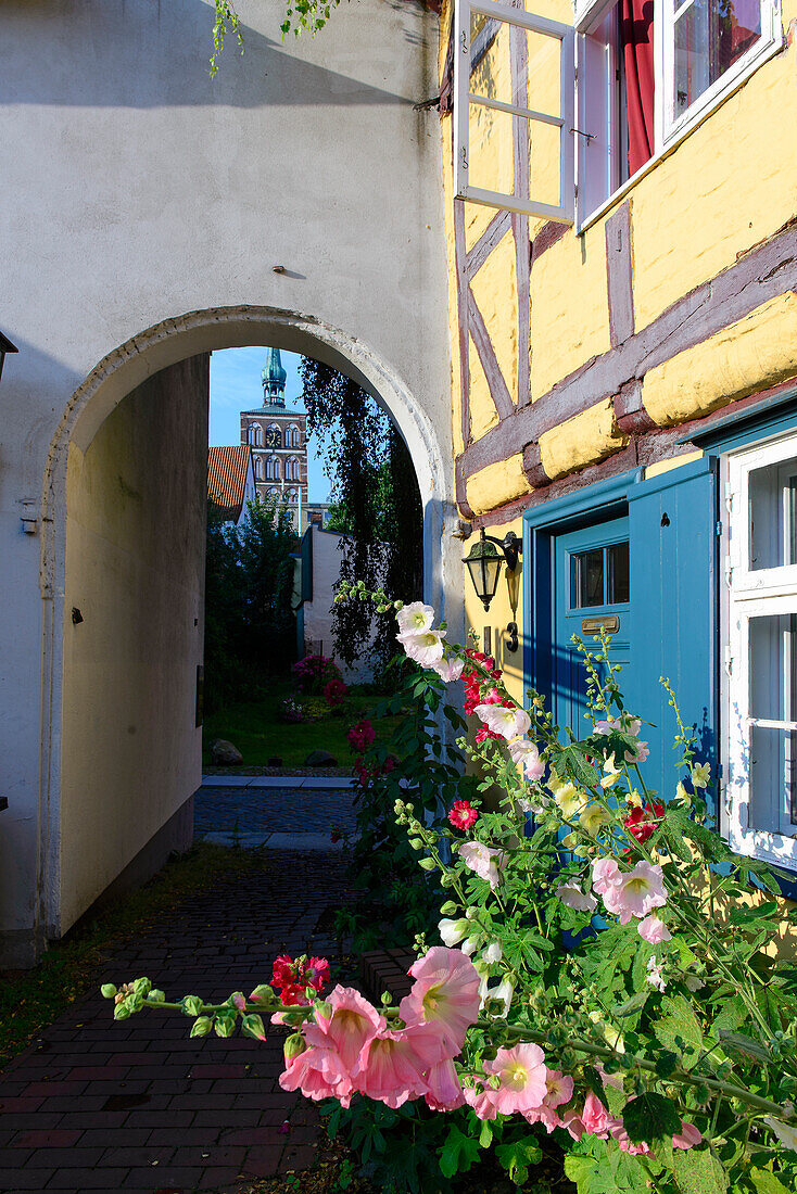 Small alleys at the Johannis Monastery, Stralsund, Ostseeküste, Mecklenburg-Western Pomerania, Germany
