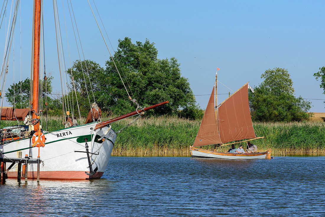 Zeesenboot sail on the Bodden, Fischland, Ostseeküste, Mecklenburg-Western Pomerania, Germany