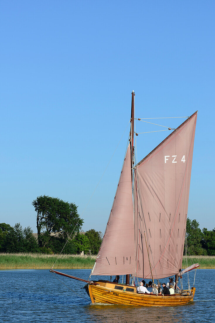 Zeesenboot sail on the Bodden, Fischland, Ostseeküste, Mecklenburg-Western Pomerania, Germany