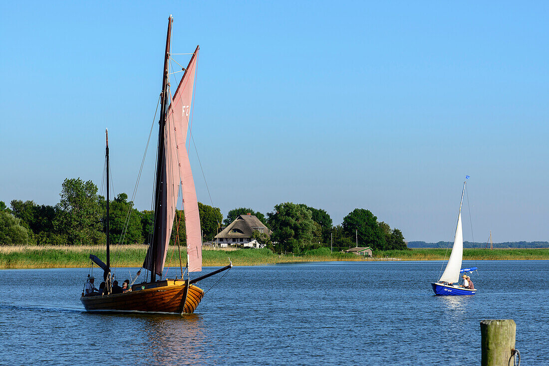 Zeesenboot segelt auf dem Bodden, Fischland, Ostseeküste, Mecklenburg-Vorpommern, Deutschland