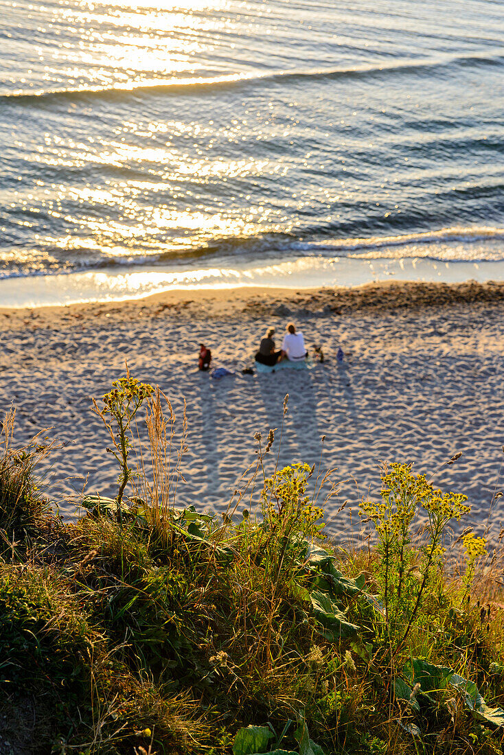 Blick von Steilküste auf Strand in Ahrenshoop, Fischland, Ostseeküste, Mecklenburg-Vorpommern, Deutschland