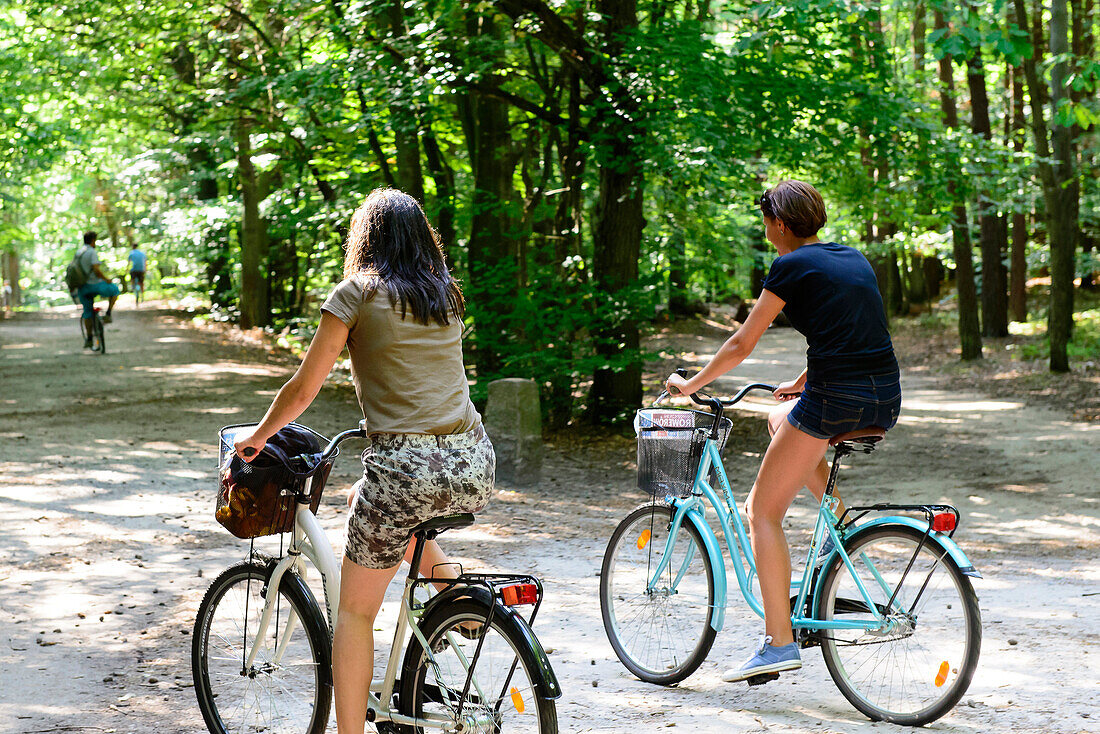 Young people are cycling in the National Park, Wollin, Baltic Sea coast, Poland