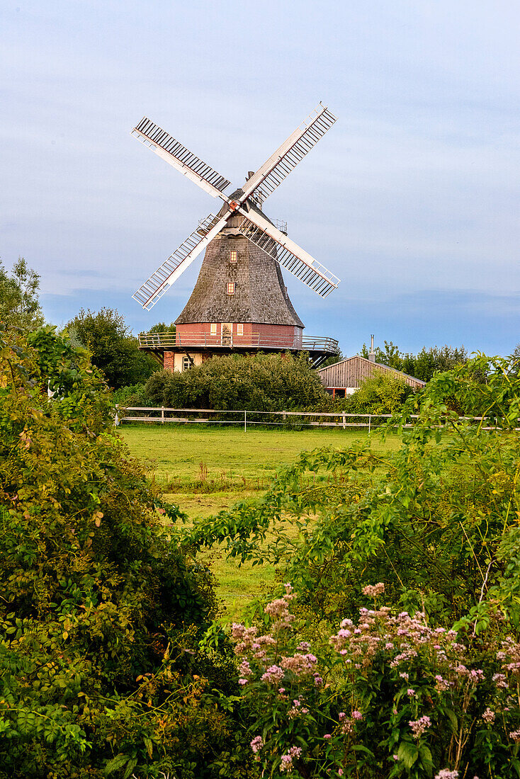 Windmill at Elmenhorst Lichtenhagen, Baltic Sea Coast, Mecklenburg-Western Pomerania, Germany