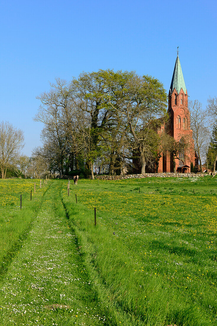 Daskow mit Kirche  im Recknitztal, Ostseeküste, Mecklenburg-Vorpommern Deutschland