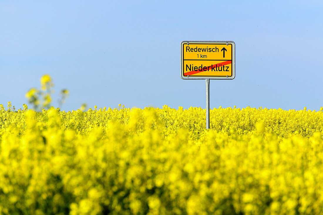Town sign with rape field, Klützer angle, place Klütz, Baltic Sea coast, Mecklenburg-Western Pomerania Germany