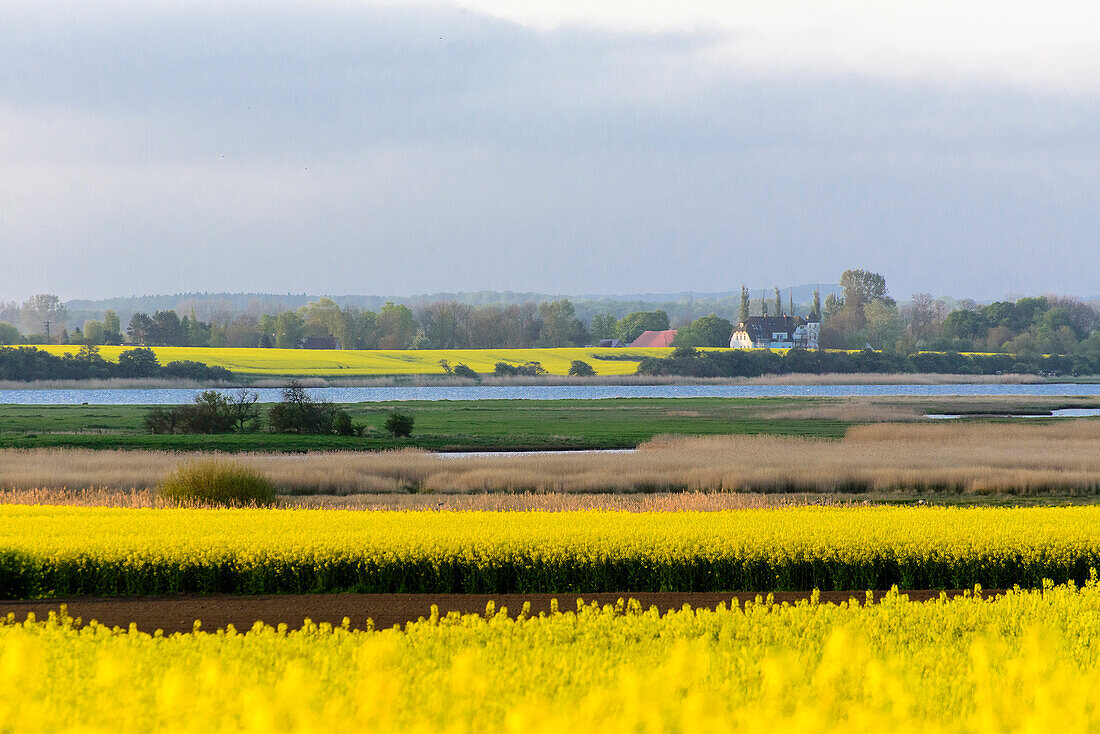 Insel Poel, view of Salzhaff, Ostseeküste, Mecklenburg-Western Pomerania, Germany