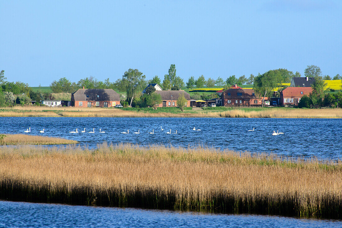 Insel Poel, view of Salzhaff, Baltic Sea coast, Mecklenburg-Western Pomerania Germany