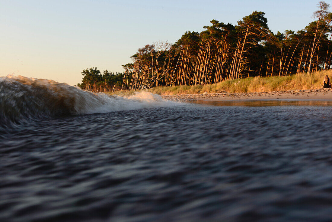 Waves at Darsser Weststrand, Baltic Sea Coast, Mecklenburg-Western Pomerania Germany