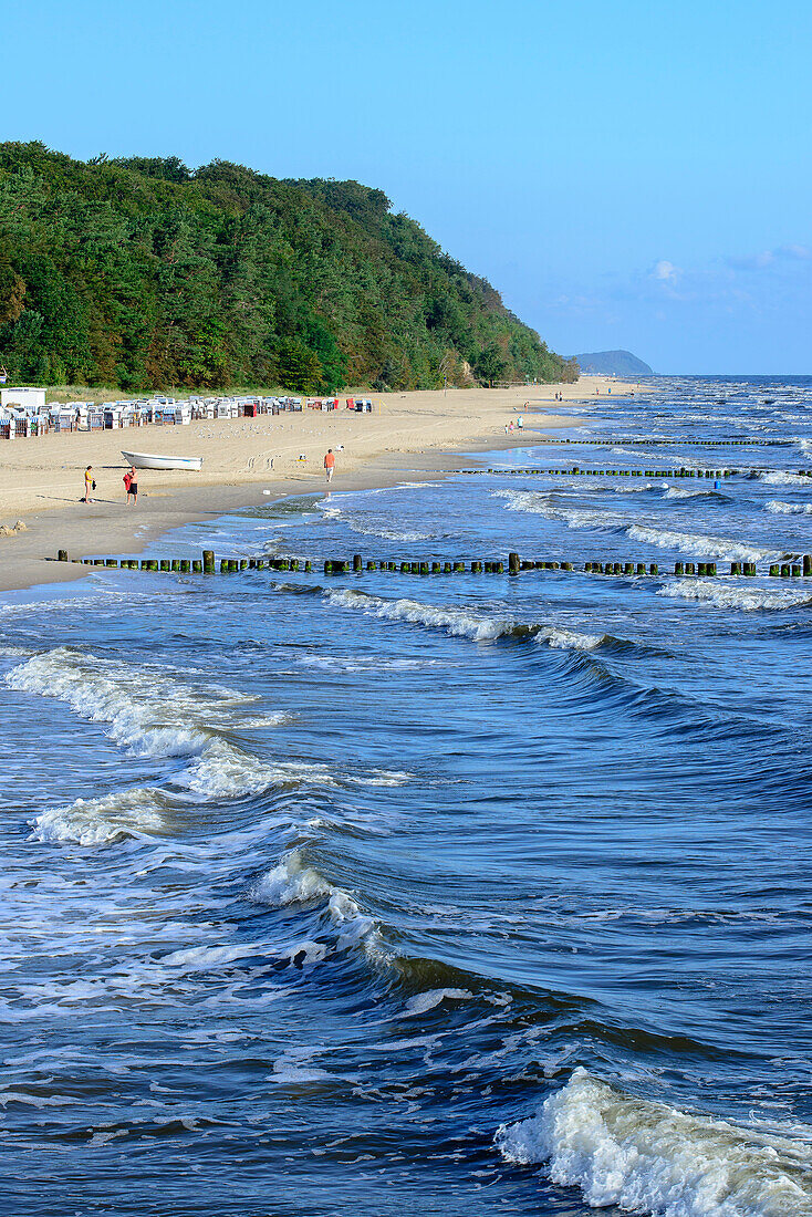 Strand mit Buhnen, Bansin, Usedom, Ostseeküste, Mecklenburg-Vorpommern, Deutschland