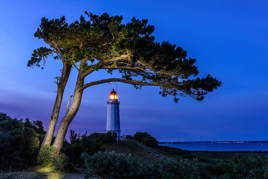 Lighthouse Dornbusch, Hiddensee, Rügen, Baltic Sea Coast, Mecklenburg-Vorpommern, Germany