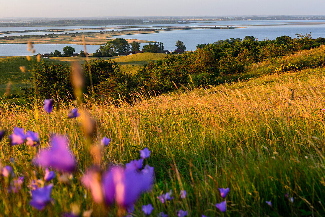 View from Dornbusch, Hiddensee, Rügen, Ostseeküste, Mecklenburg-Western Pomerania, Germany