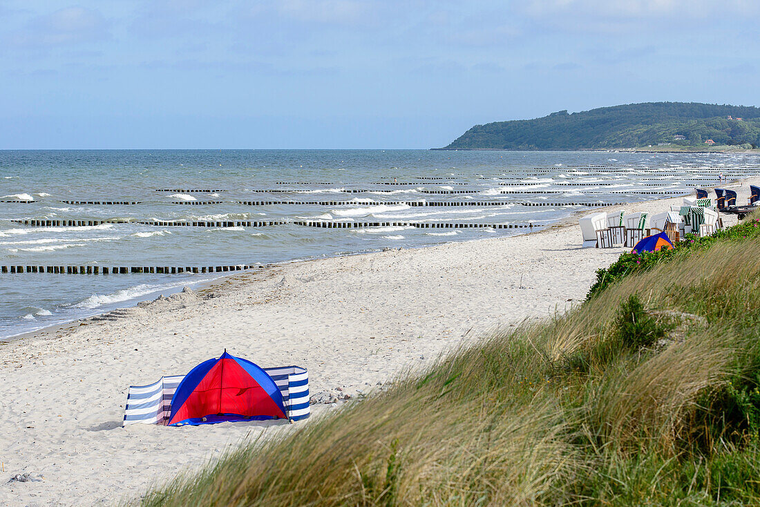 Strand mit Strandmuschel,  Vitte, Hiddensee, Rügen, Ostseeküste, Mecklenburg-Vorpommern, Deutschland