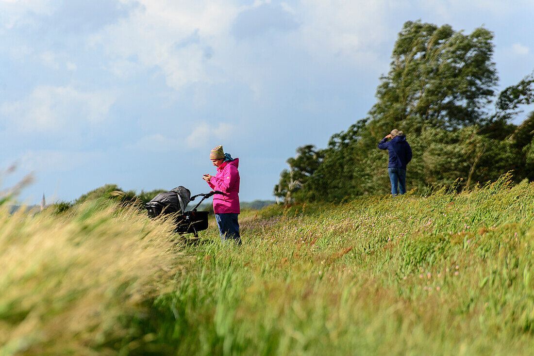 Woman with baby carriage in high grass on Ummanz island, Baltic Sea coast, Mecklenburg-Vorpommern Germany