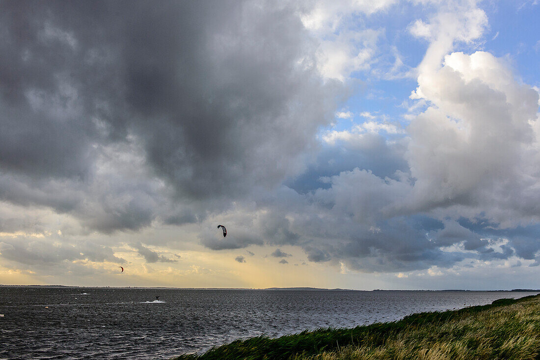 Kitesurfen und  Windsurfen vor Hiddensee auf der Insel Ummanz, Rügen, Ostseeküste, Mecklenburg-Vorpommern, Deutschland