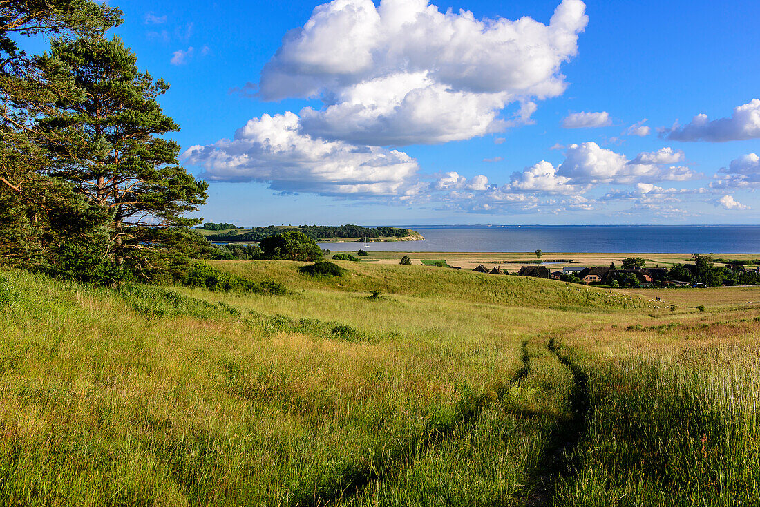 View from the Bakenberg, Moenchgut, Rügen, Ostseeküste, Mecklenburg-Western Pomerania, Germany