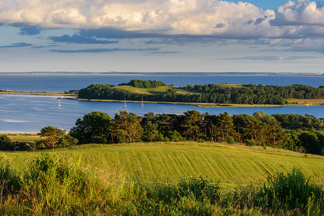 View from the Bakenberg, Moenchgut, Rügen, Ostseeküste, Mecklenburg-Western Pomerania, Germany