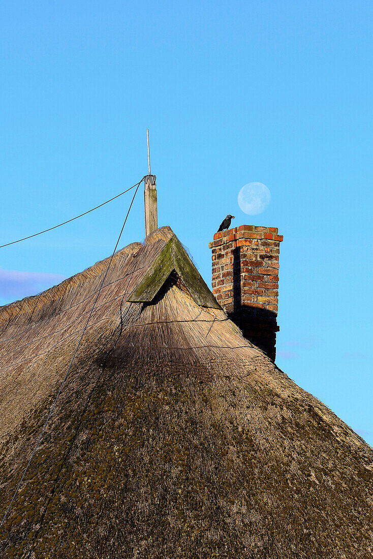 Pfarrwitwenhaus in Gross Zicker, Moenchgut, Rügen, Ostseeküste, Mecklenburg-Vorpommern, Deutschland