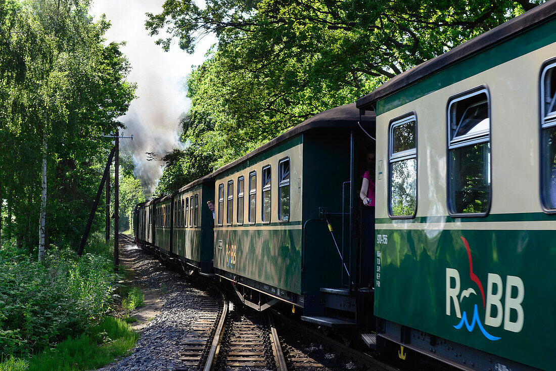 Steam Railway Rasender Roland, Rügen, Ostseeküste, Mecklenburg-Western Pomerania, Germany