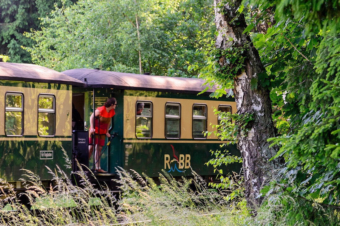 Dampfeisenbahn Rasender Roland, Rügen, Ostseeküste, Mecklenburg-Vorpommern, Deutschland