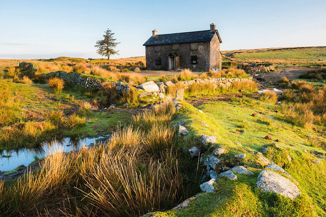 Nuns Cross Farm, Dartmoor National Park, Devon, England, United Kingdom, Europe