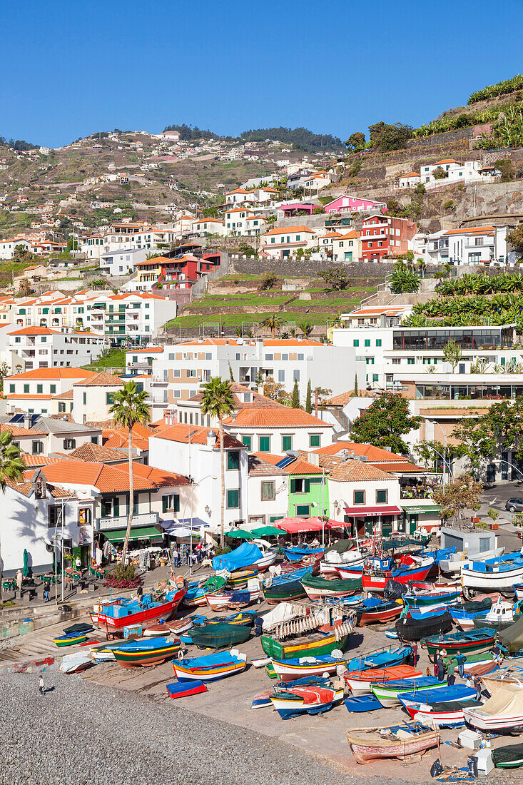 Traditional colourful fishing boats on the beach in Camara de Lobos fishing village, Madeira, Portugal, Atlantic, Europe