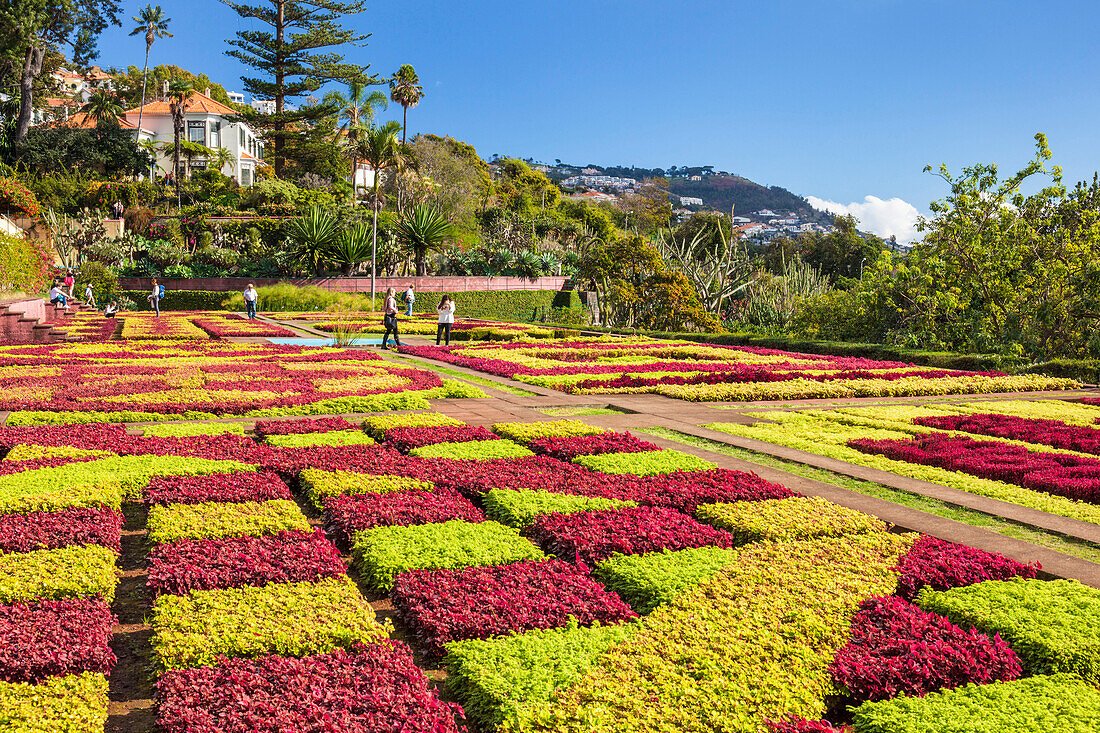 Formal garden in Madeira Botanical gardens (Jardim Botanico), above the capital city of Funchal, Madeira, Portugal, Atlantic, Europe