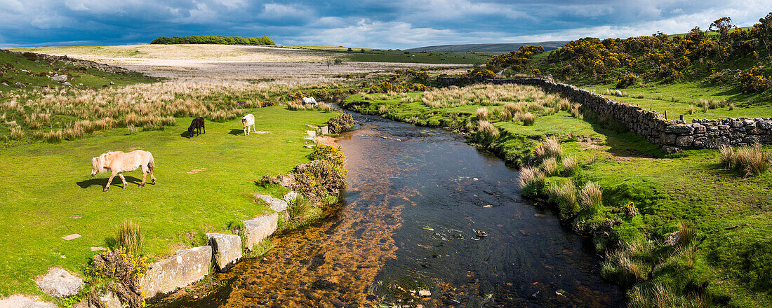 Dartmoor landscape, Devon, England, United Kingdom, Europe