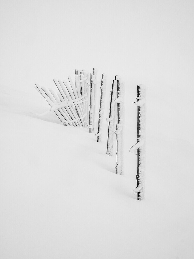 A build up of rime ice on the ski fence during a white out conditions on the Cairngorms, Scotland, United Kingdom, Europe