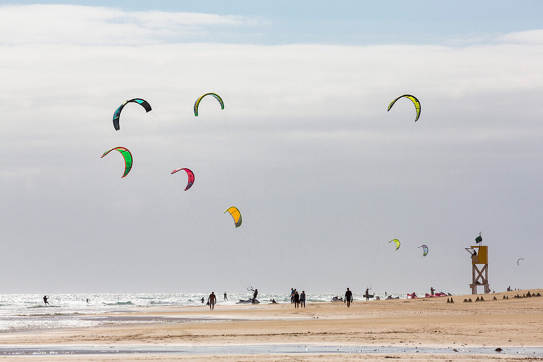 Many people kiteboarding off the Playa de La Barca, Costa Calma, on the volcanic island of Fuerteventura, Canary Islands, Spain, Atlantic, Europe
