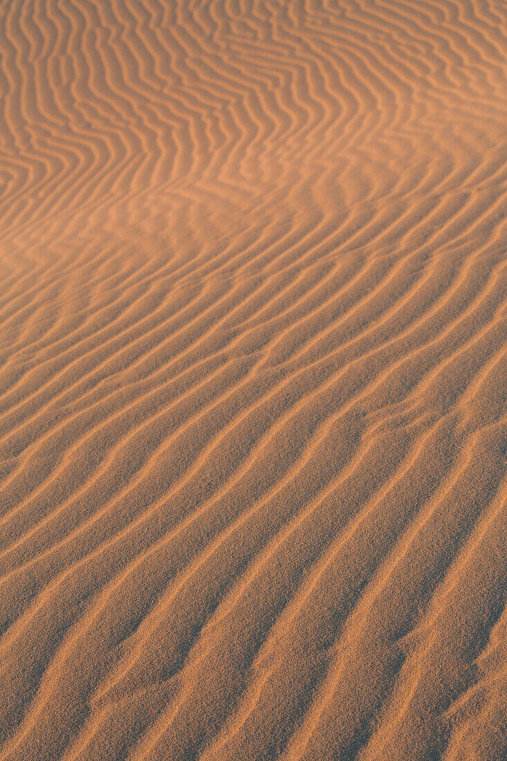 Sand textures on the dramatic Dunas de Corralejo in evening light on the volcanic island of Fuerteventura, Canary Islands, Spain, Europe