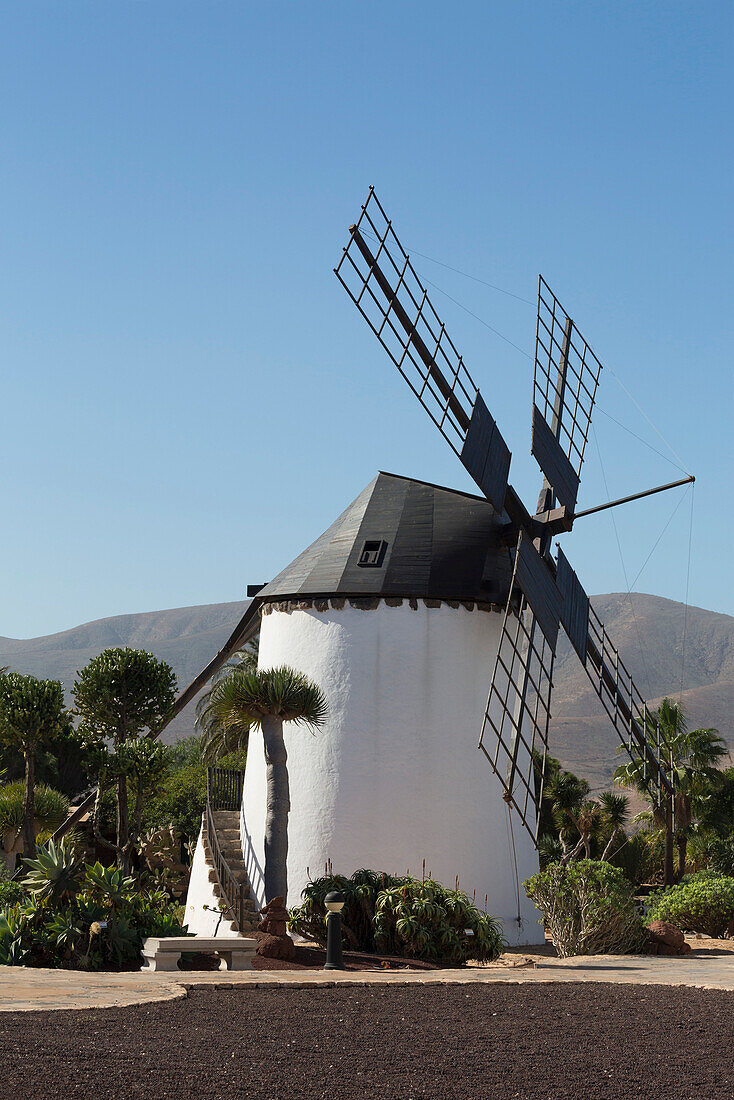 Windmill at the Museo del Queso Majorero near Antigua in Fuerteventura, Canary Islands, Spain, Atlantic, Europe
