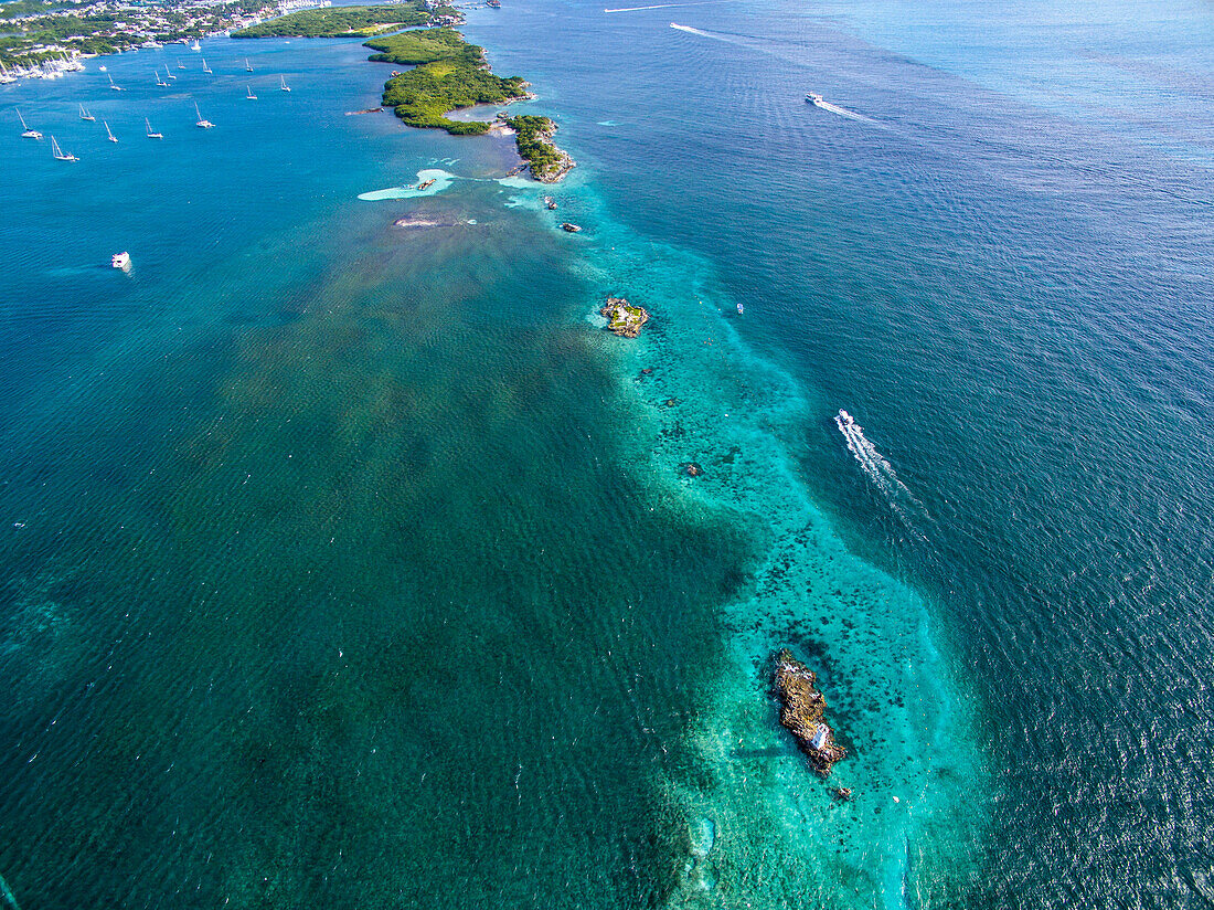 Reef on coast, Isla Mujeres, Mexico