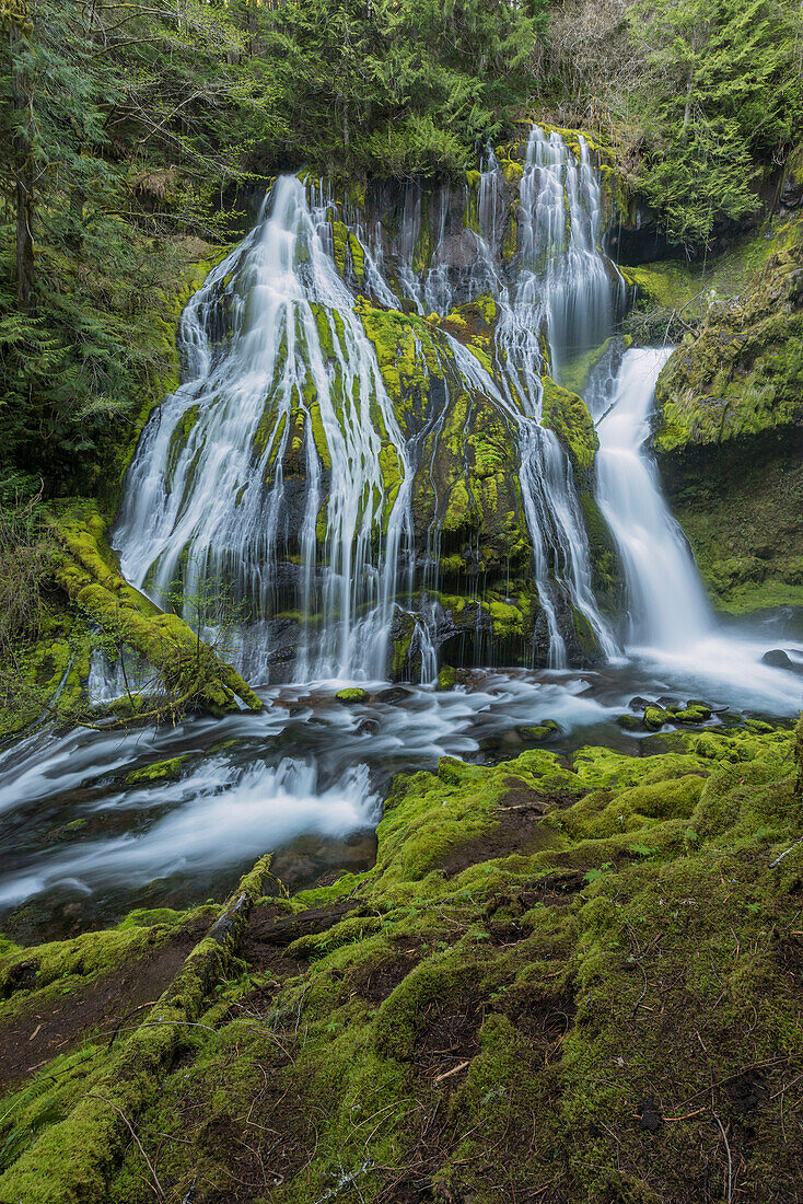 Panther Falls, Columbia River Gorge, Washington