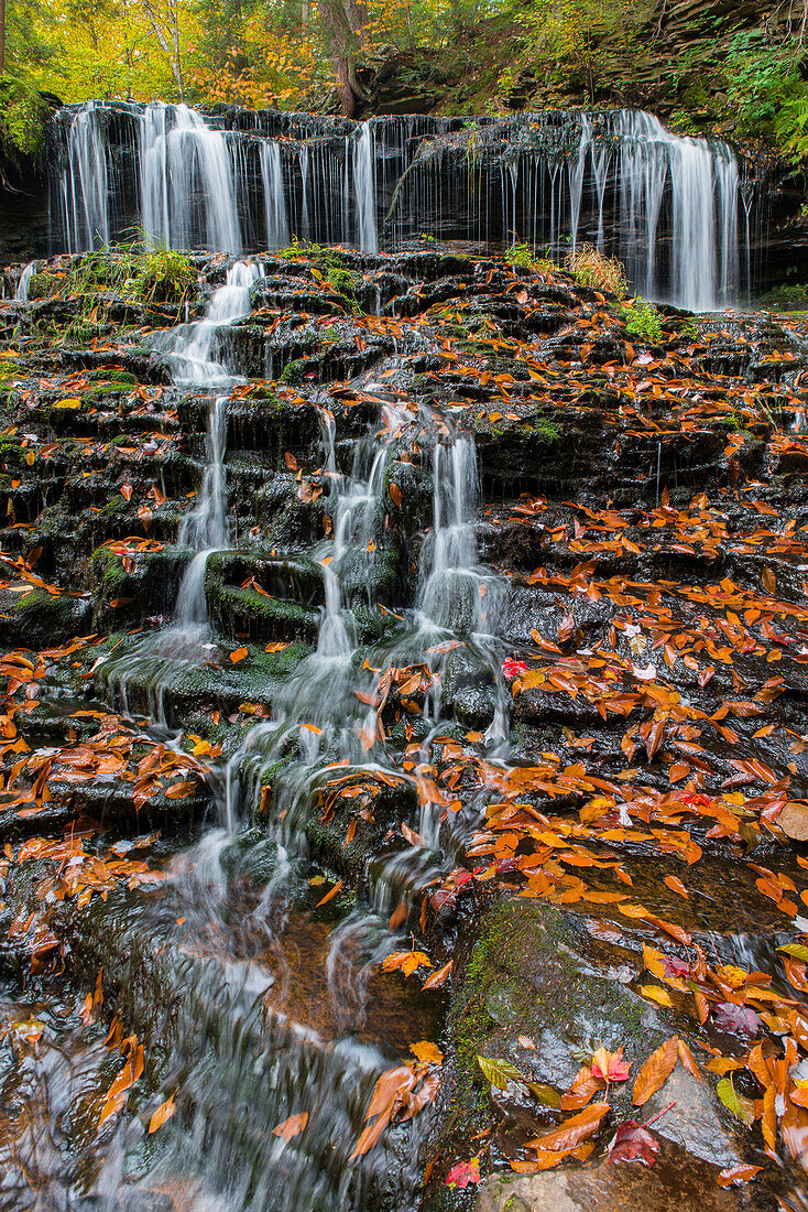 Waterfall in fall, Mohawk Falls, Kitchen Creek, Ricketts Glen State Park, Pennsylvania