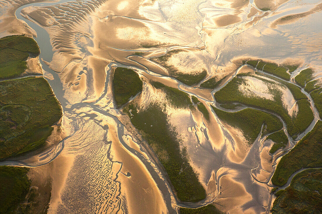 Channels in delta, Saeftinghe, Belgium