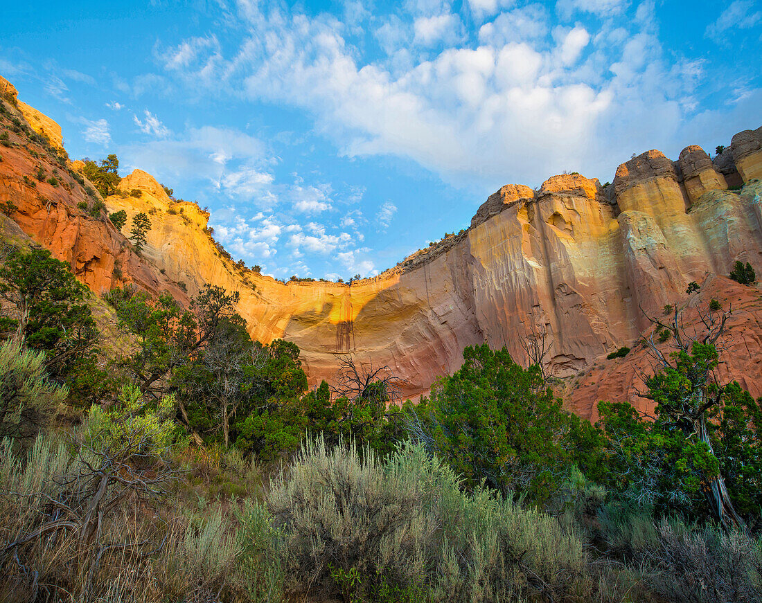 Sandstone cliffs, Echo Amphitheatre, New Mexico