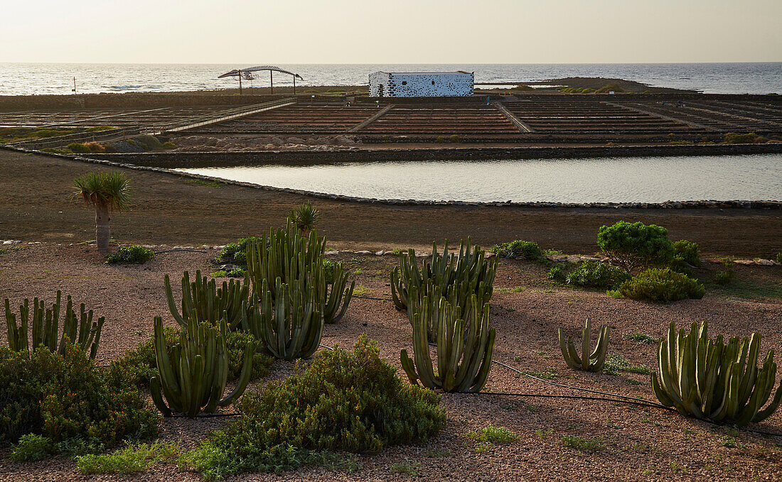 Morning at the Museum of Salt at Las Salinas near Caleta de Fustes, Fuerteventura, Canary Islands, Islas Canarias, Atlantic Ocean, Spain, Europe