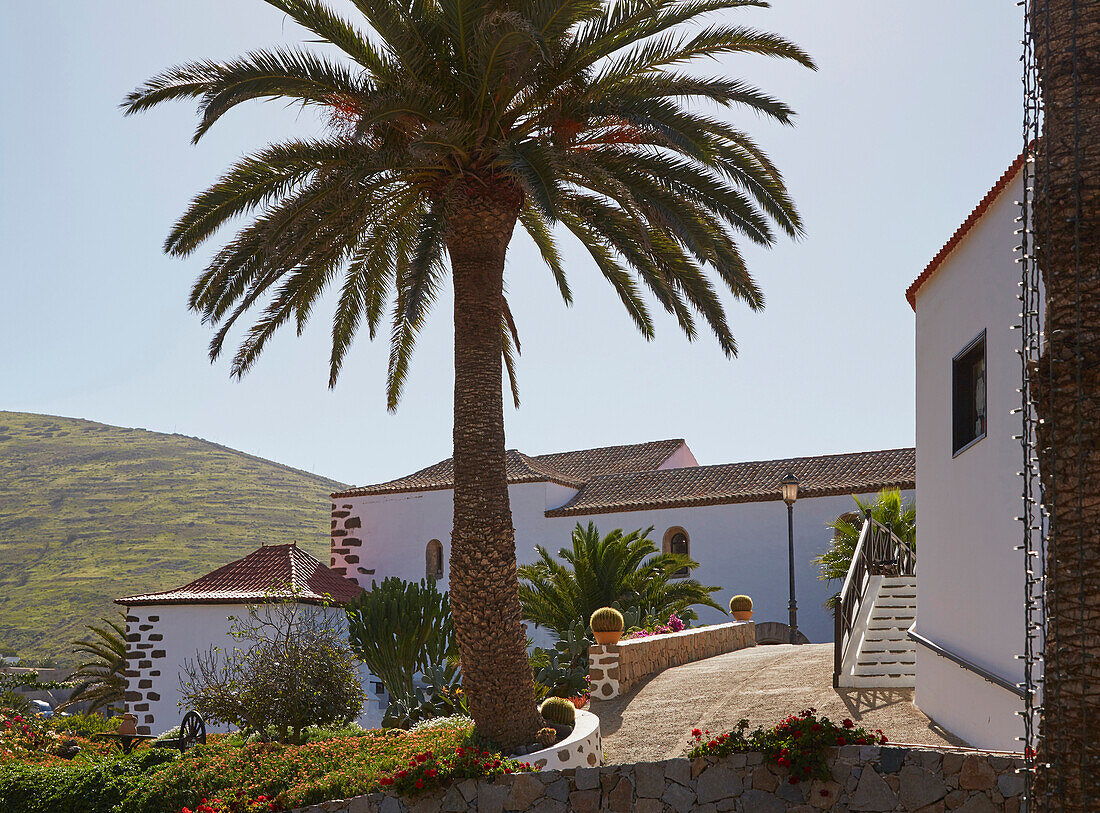 Blumenpracht bei Kirche in Betancuria, Fuerteventura, Kanaren, Kanarische Inseln, Islas Canarias, Atlantik, Spanien, Europa