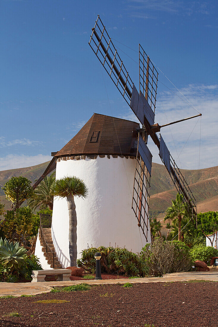 Mill in the museum Museo del Queso Majorero and Molino de Antigua at Antigua, Fuerteventura, Canary Islands, Islas Canarias, Atlantic Ocean, Spain, Europe