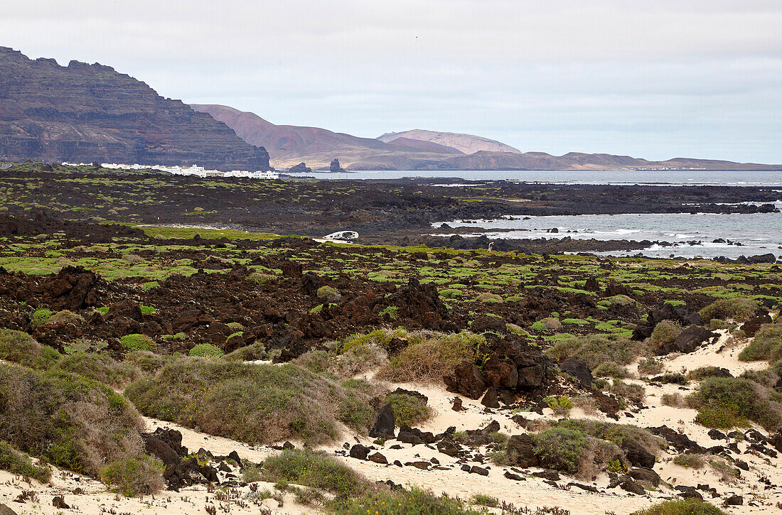 Malpais de la Corona, Vulkanlanschaft mit Dünen zwischen Punta Prieta und Órzola, Lanzarote, Kanaren, Kanarische Inseln, Islas Canarias, Spanien, Europa