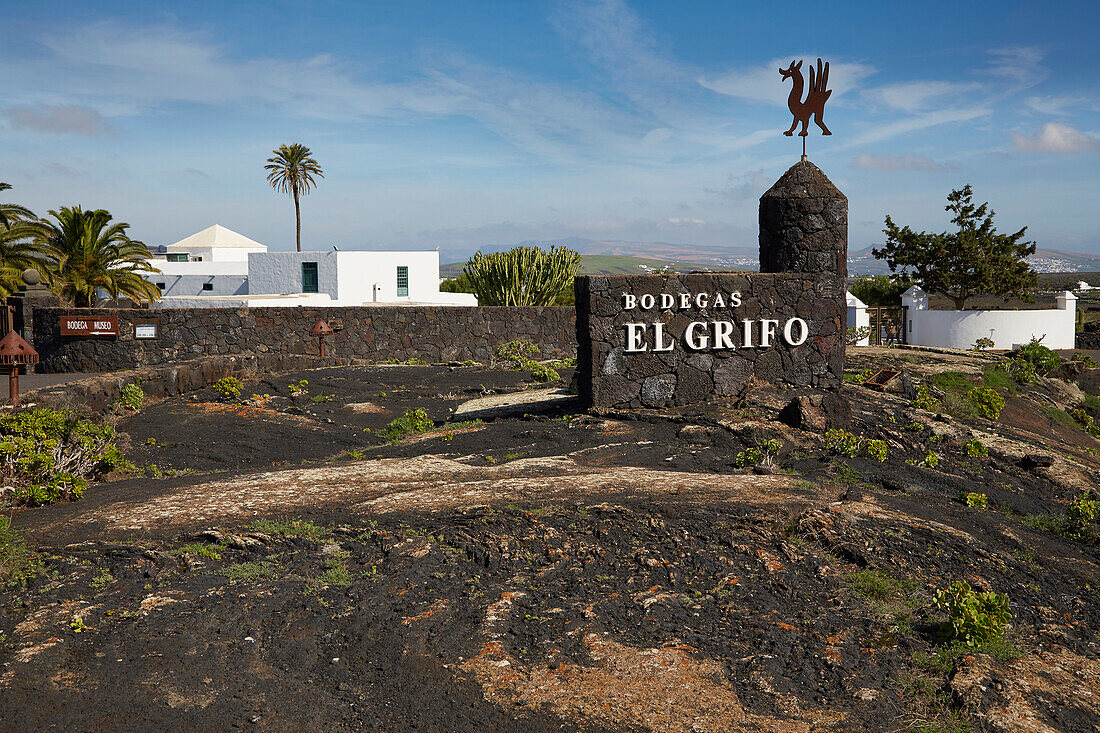 Bodegas El Grifo in the wine growing area near Masdache, Lanzarote, Canary Islands, Islas Canarias, Spain, Europe
