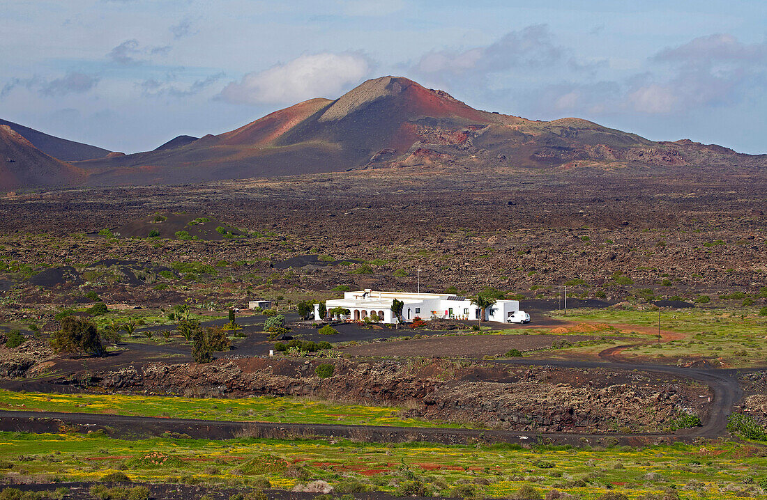 Wine growing area La Geria at the foot of the Montanas del Fuego de Timanfaya, Lanzarote, Canary Islands, Islas Canarias, Spain, Europe