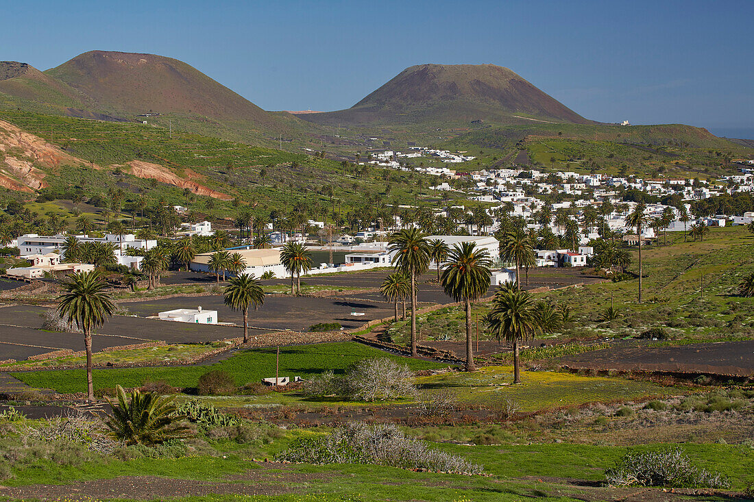 View at the village of Haria, Lanzarote, Canary Islands, Islas Canarias, Spain, Europe