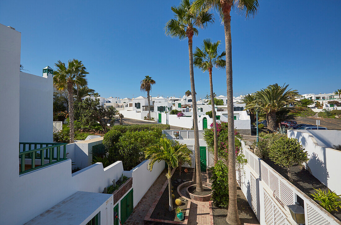 Blick auf Häuser mit Palmen in Costa Teguise, Atlantik, Lanzarote, Kanaren, Kanarische Inseln, Islas Canarias, Spanien, Europa